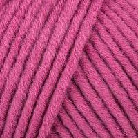 Fuchsia (84)