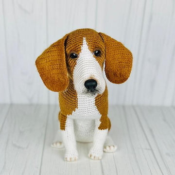 Beagle Dog