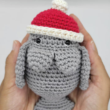 Marty "The Caribbean manatee"