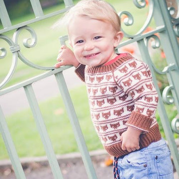 Foxy Loxy Jumper