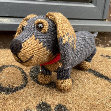 Tilly Sausage Dog