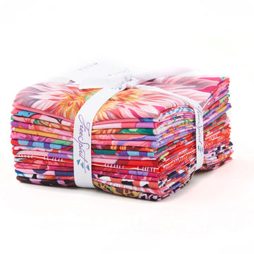 Kaffe Fassett Collective Fat Quarter Bundle - Hot