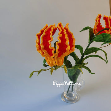 Flame Lily