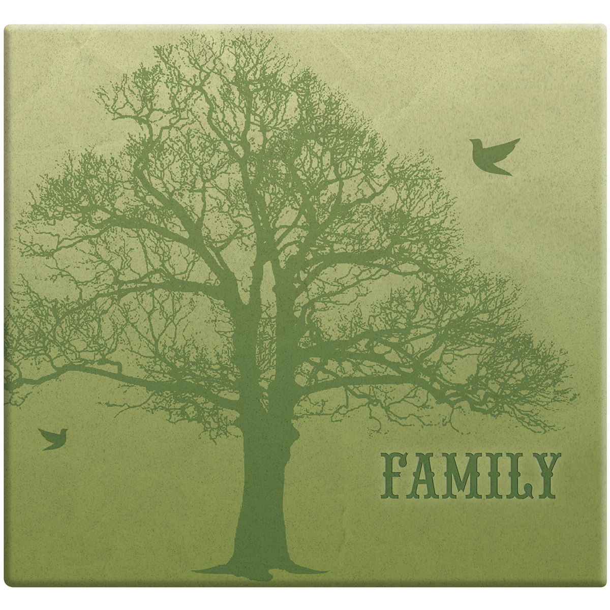 MBI Family Tree Post Bound Album W/Name Window 12"X12" - Family Tree