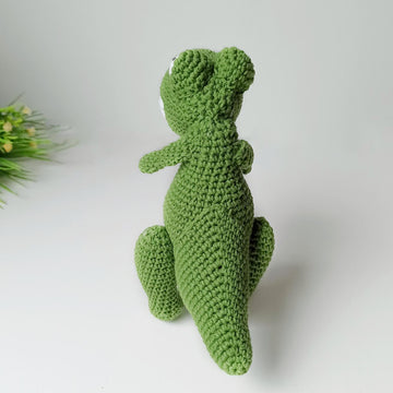 Dinosaur Baby T_Rex