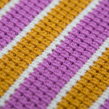 Tunisian Striped Gadget Cosies
