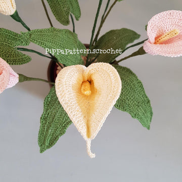 Calla Lily