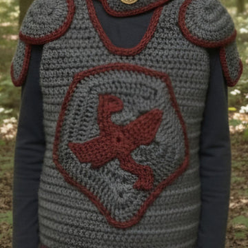 Knight's Armor Vest and  Hood