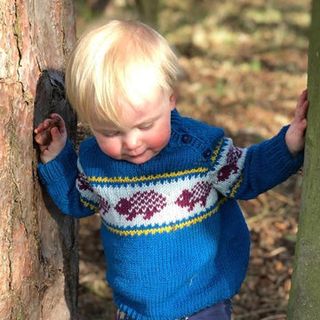 Hedgehog Jumper