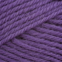 Bilberry (788)
