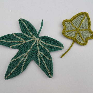 Big Ivy leaf, beautiful leaves