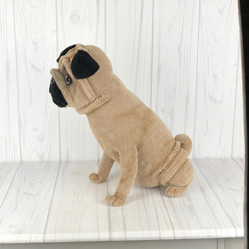 Pug Puppy