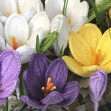 Crocus Crochet Pattern