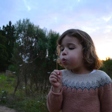 Aneira Minikins