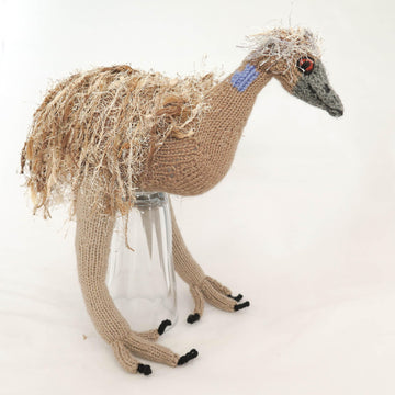 Australian Emu Bird