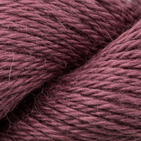 Raisin (102)