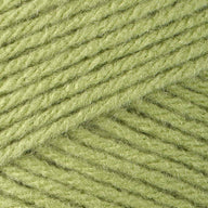 Fern (53222)