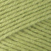 Fern (53222)