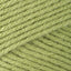 Fern (53222)