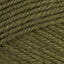 Lentil (3330)