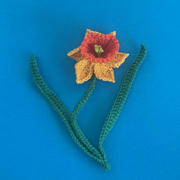 Daffodil
