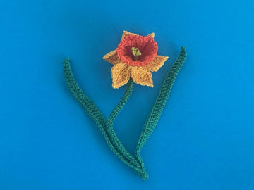 Daffodil