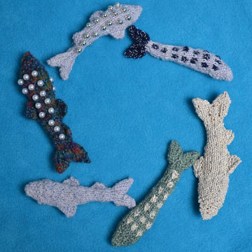 Little Minnows