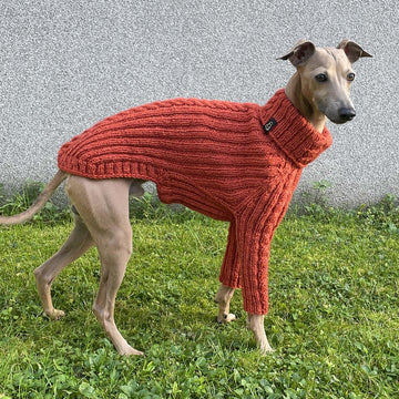 Dog Sweater ACRI CABLE