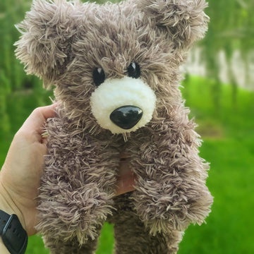 Hang in There Bear