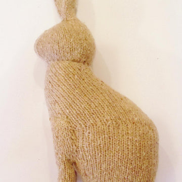 Spring Rabbit
