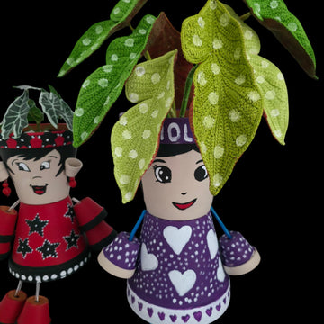 Crochet Polka Dot Begonia plant