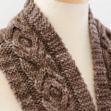Insi Cabled Scarf in SweetGeorgia Superwash Soft - Downloadable PDF