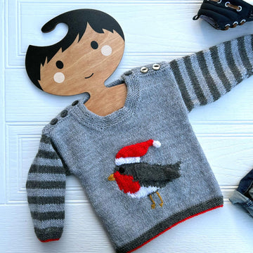 Rockin Robin Baby Sweater