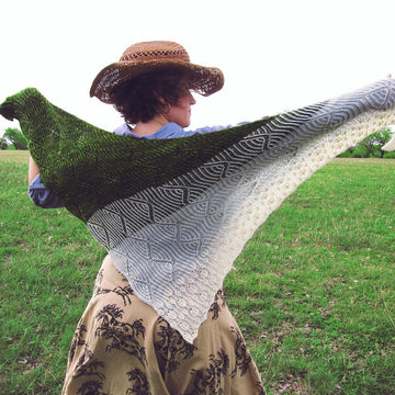 Y'all Shawl