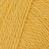 Golden Nugget (12)