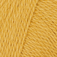 Golden Nugget (12)