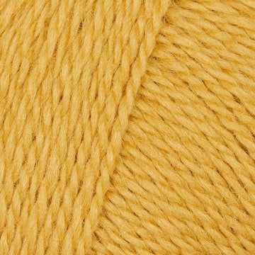 Golden Nugget (12)
