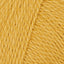Golden Nugget (12)