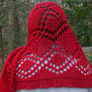 Sita's Special Shawl