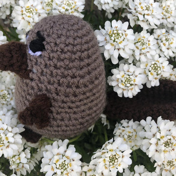 Platypus amigurumi