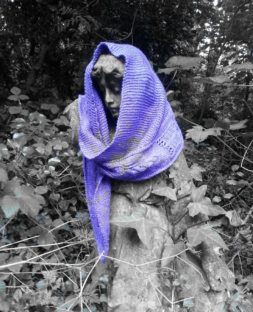 T.A.R.D.I.Shawl