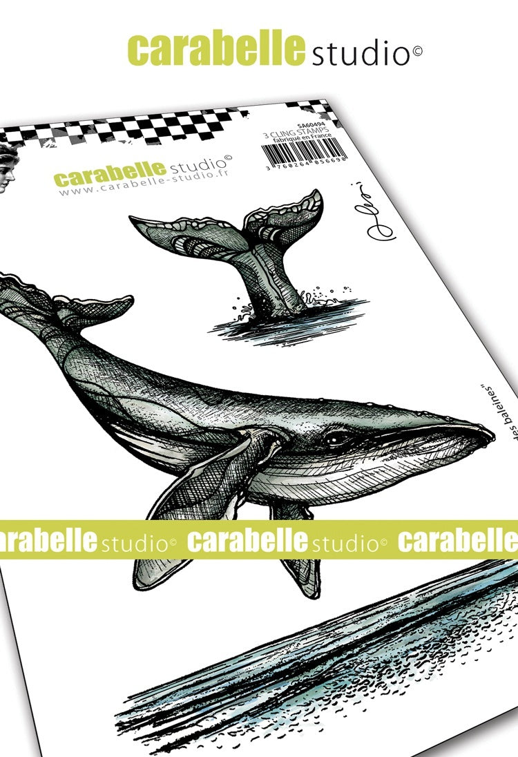 Carabelle Studio Cling Stamp A6 By Alexi - The Whale Song
