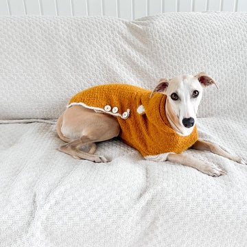 Doggo no 19 sweater