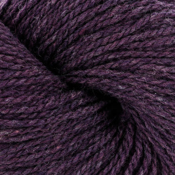 Eggplant