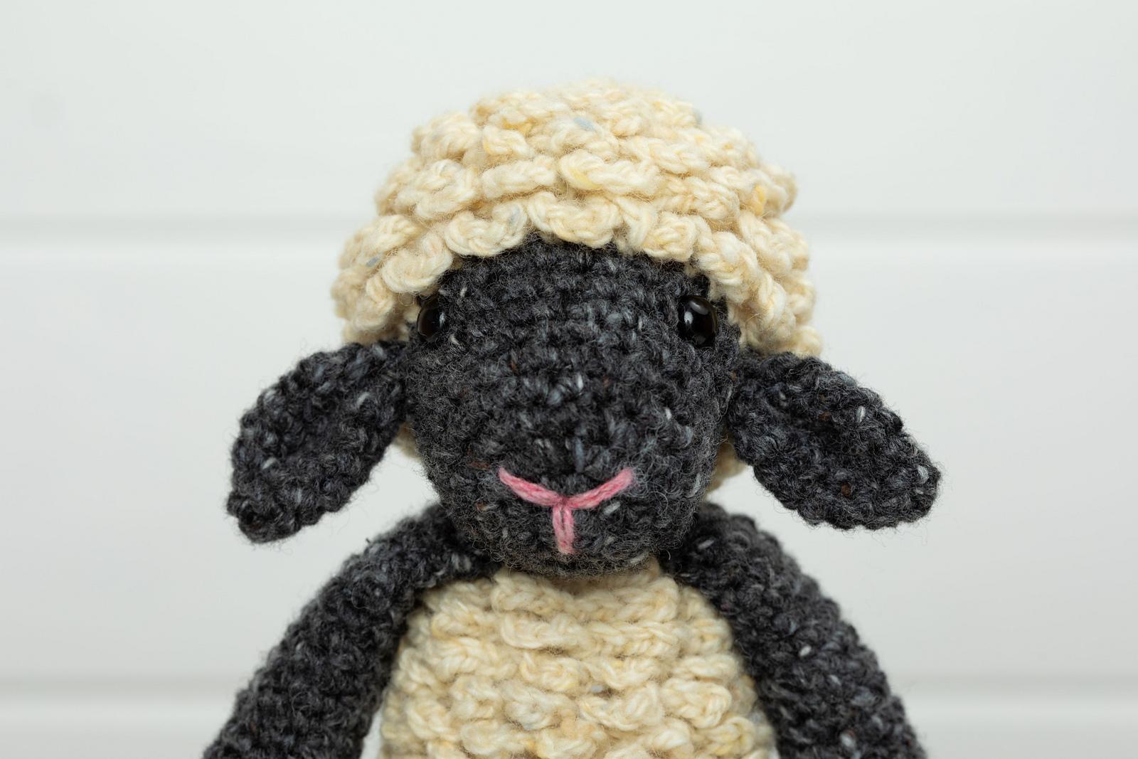 Hazel the Sheep
