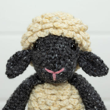 Hazel the Sheep