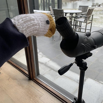 Sleeping Goose Mittens