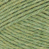 Apple (129)