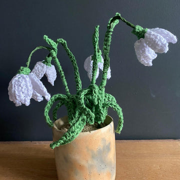 Nana's Snowdrop Flowers