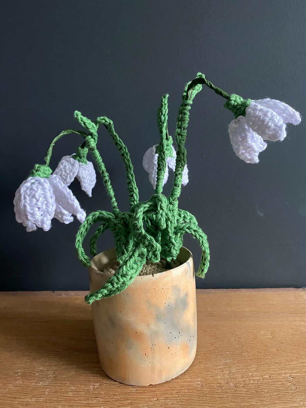 Nana's Snowdrop Flowers